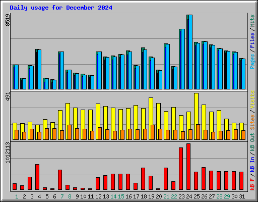 Daily usage for December 2024