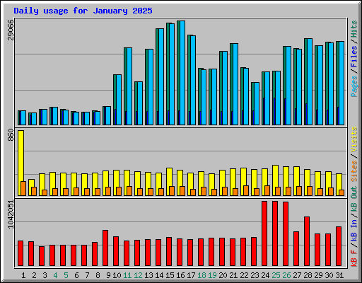 Daily usage for January 2025