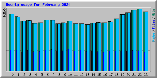 Hourly usage for February 2024