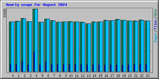 Hourly usage for August 2024