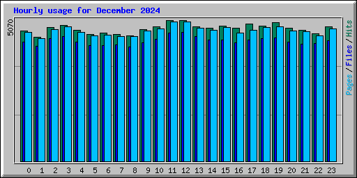 Hourly usage for December 2024