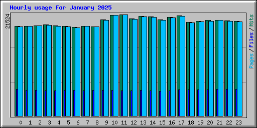 Hourly usage for January 2025