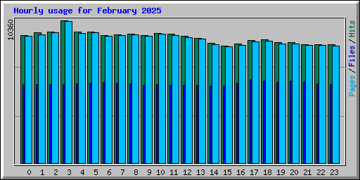Hourly usage for February 2025