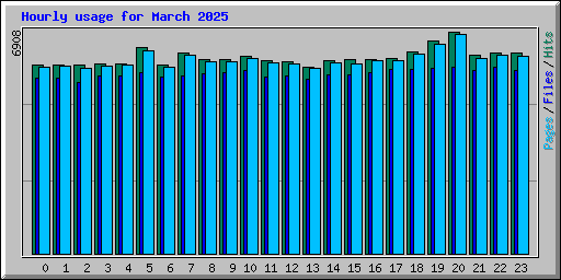 Hourly usage for March 2025