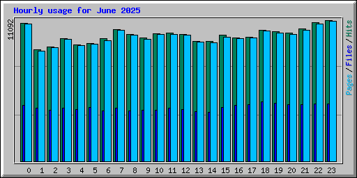 Hourly usage for June 2025