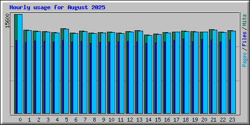 Hourly usage for August 2025