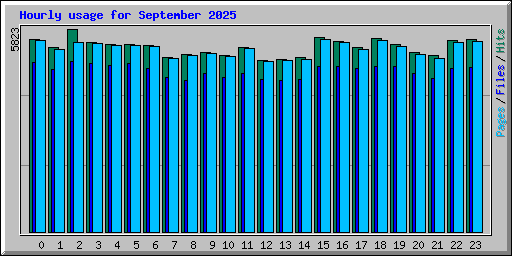 Hourly usage for September 2025